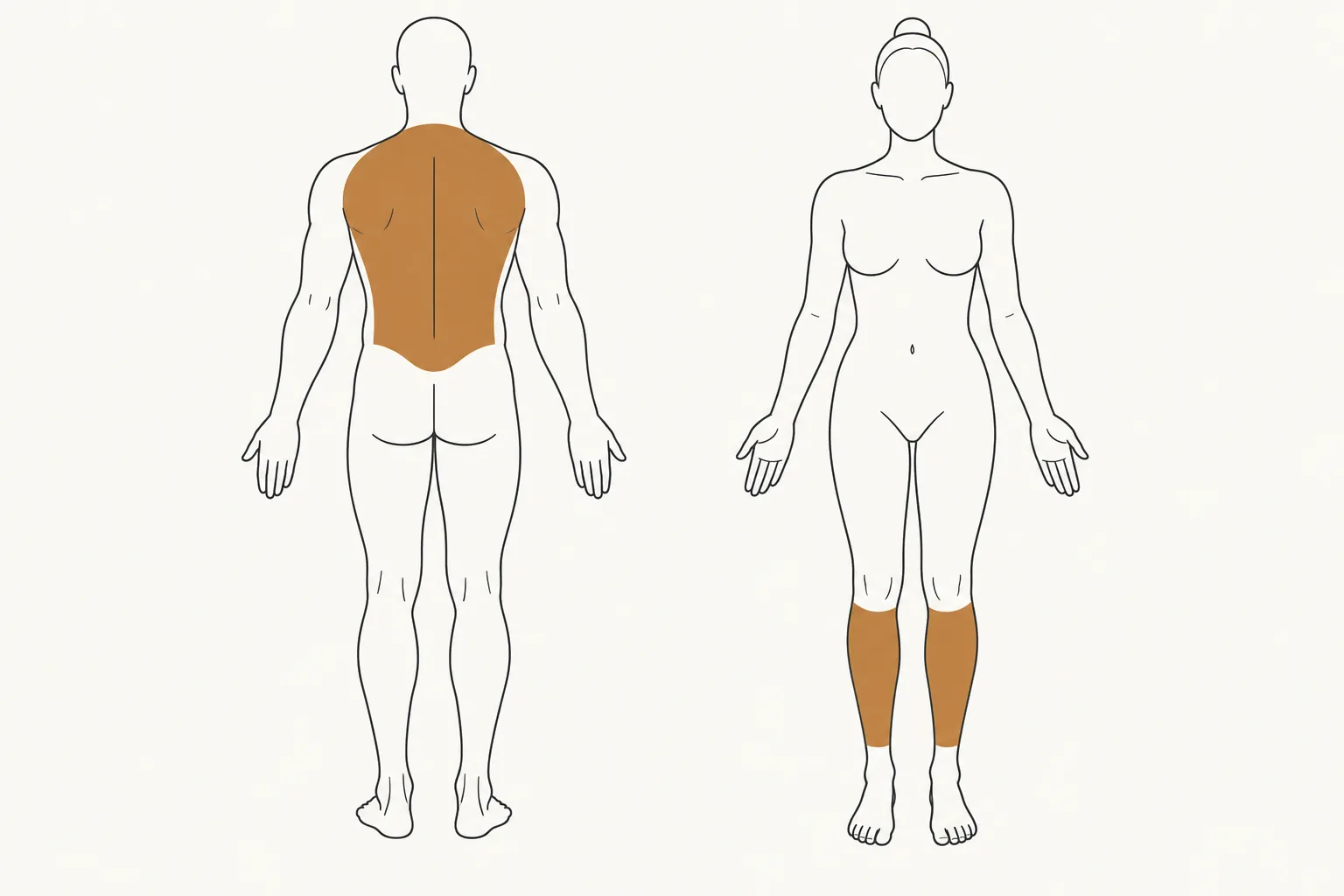 Two body outlines. A man seen from behind with the back shaded, and a woman seen from the front with the lower legs shaded.